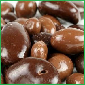 Chocolate Covered Fruits & Nuts Organic