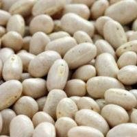 Navy Beans Organic