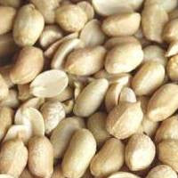 Peanuts Blanched Roasted Not-Salted Organic