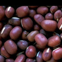 Adzuki Beans Organic