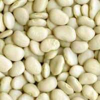 Lima Beans Baby Organic