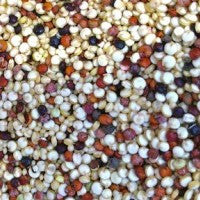 Quinoa Tri-Colored Organic